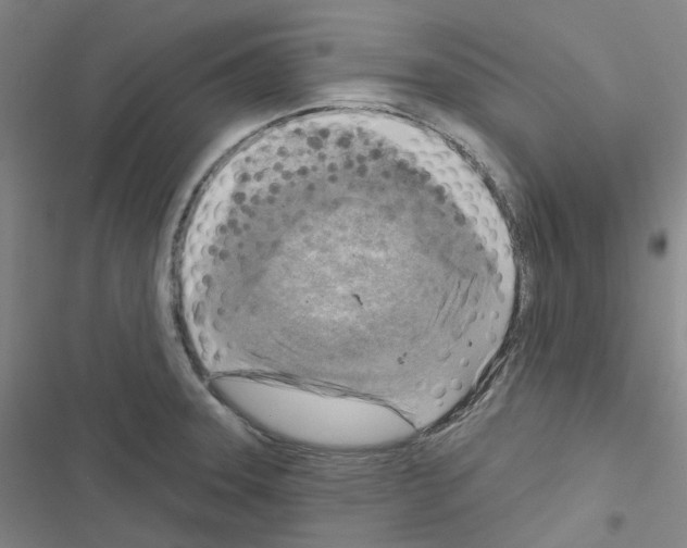 X0000116651331201001251149