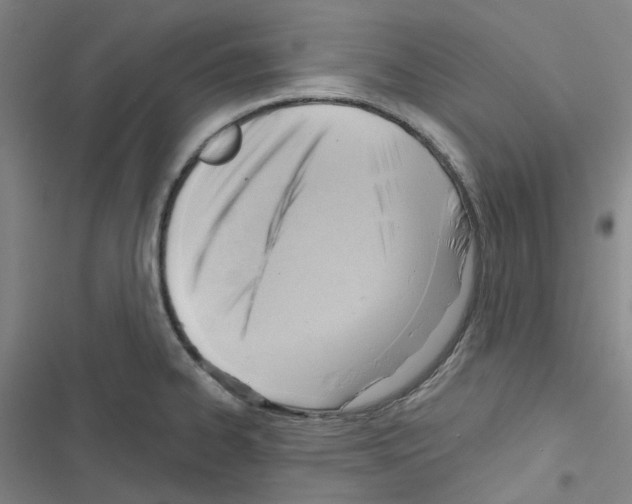X0000116651334201001251149
