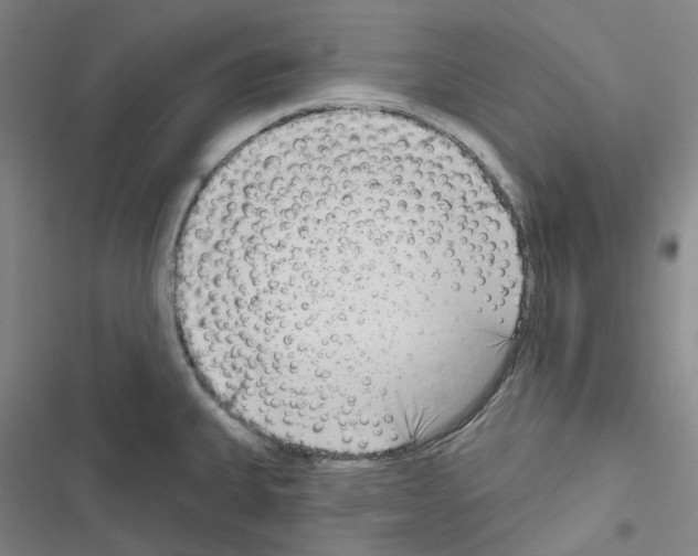 X0000116651335201001251149