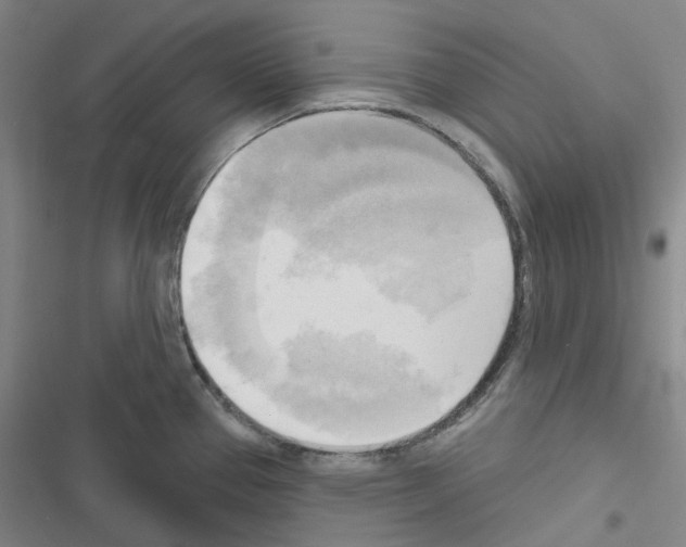 X0000116651337201001251149