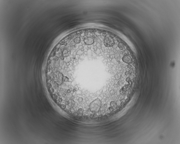 X0000116651338201001251149