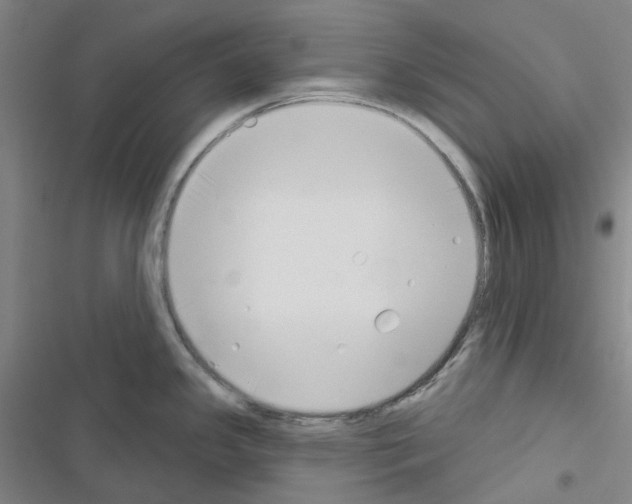 X0000116651341201001251149