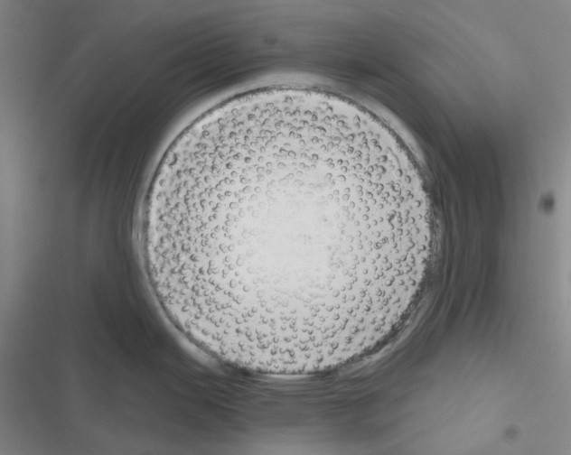 X0000116651343201001251149