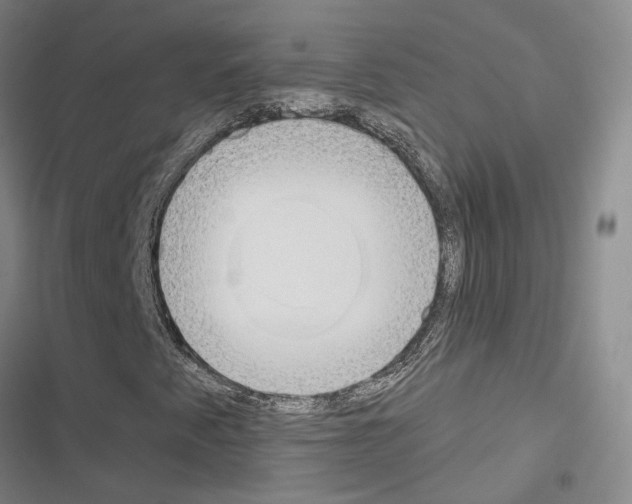 X0000116651345201001251148