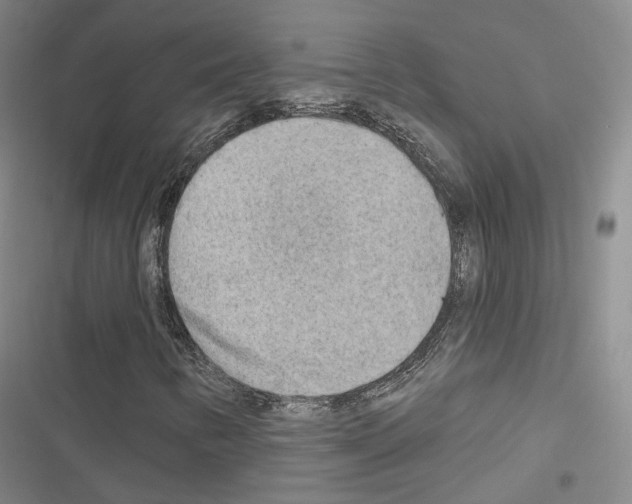 X0000116651346201001251148