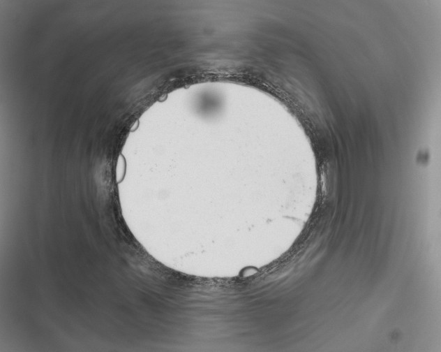 X0000116651347201001251148