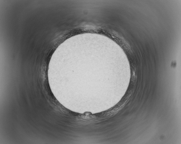 X0000116651348201001251148