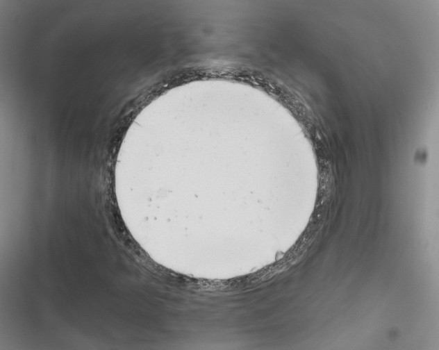 X0000116651349201001251148