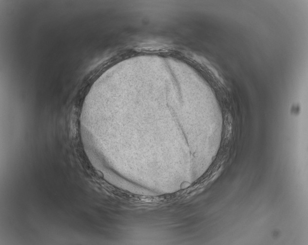 X0000116651350201001251148