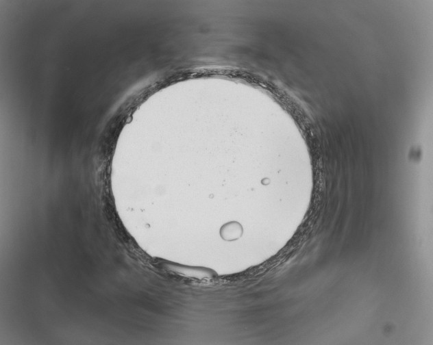 X0000116651351201001251148