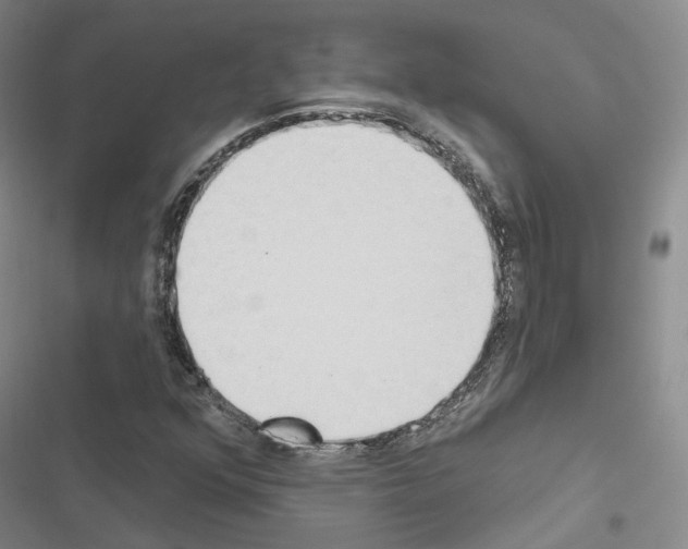 X0000116651352201001251148