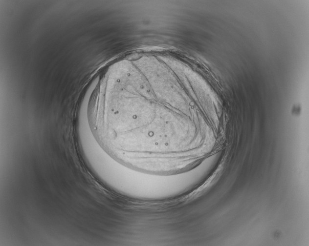 X0000116651353201001251148