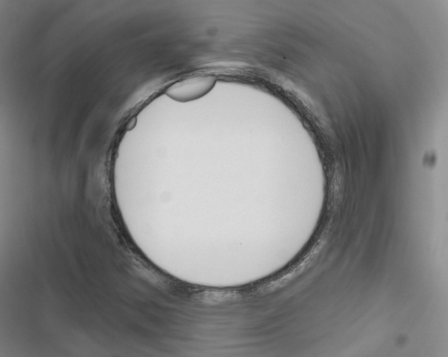 X0000116651354201001251148