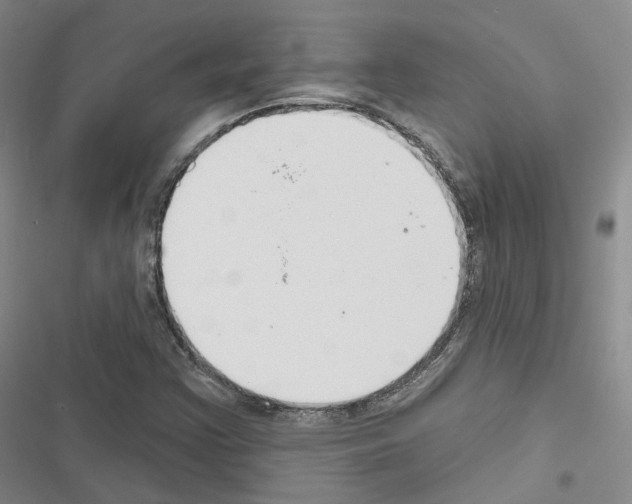 X0000116651355201001251148