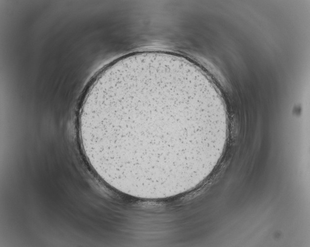 X0000116651356201001251148