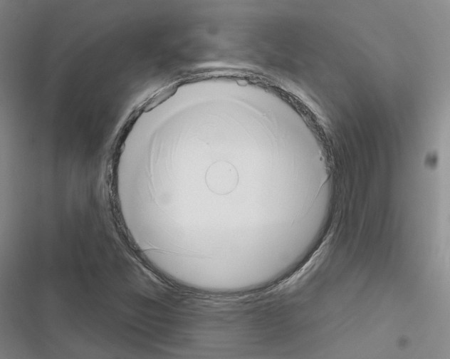 X0000116651357201001251148