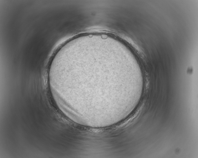 X0000116651358201001251148