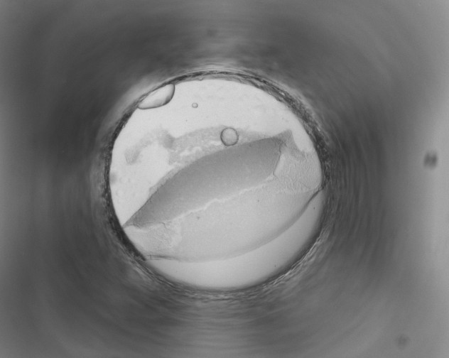 X0000116651359201001251148