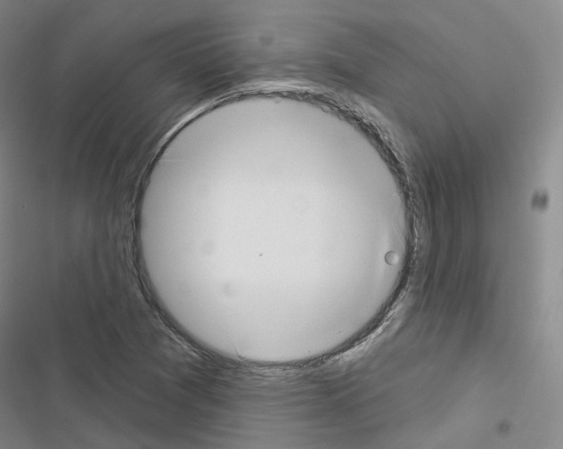 X0000116651361201001251148