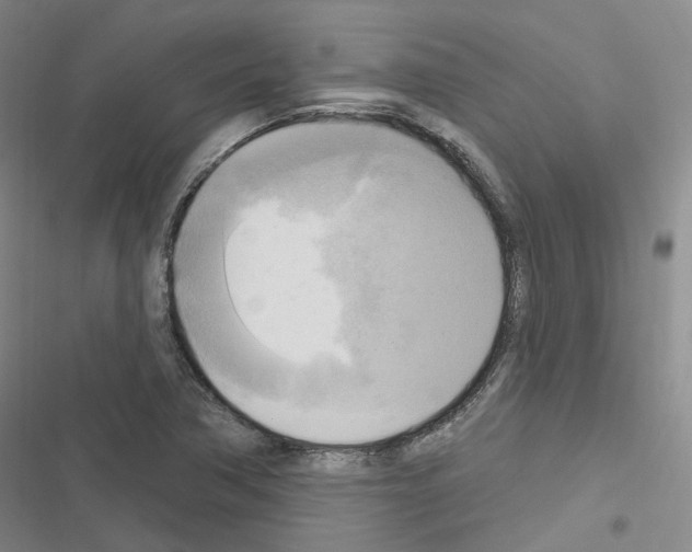 X0000116651362201001251148