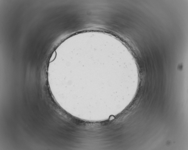X0000116651363201001251148