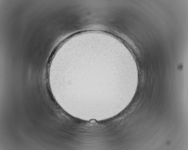 X0000116651364201001251148