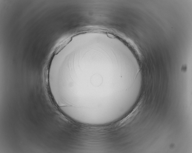 X0000116651365201001251148