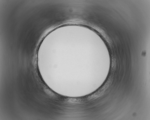 X0000116651366201001251148