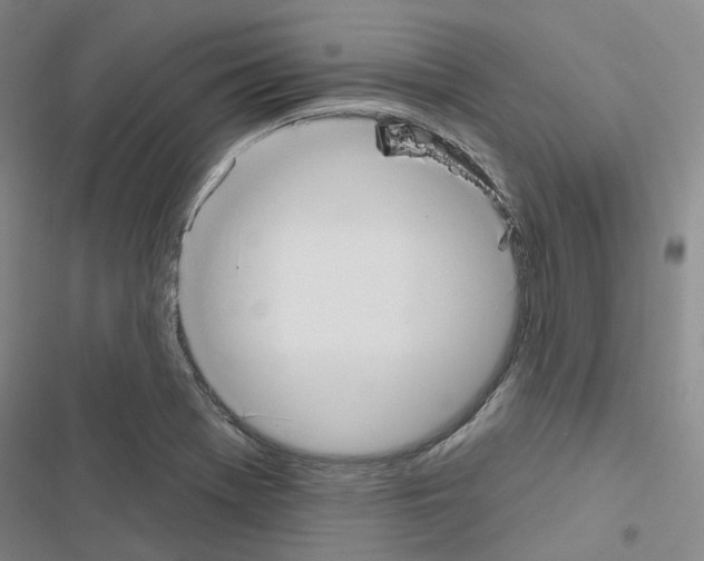 X0000116651369201001251148