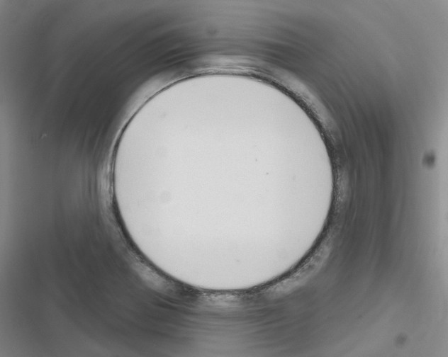 X0000116651370201001251148
