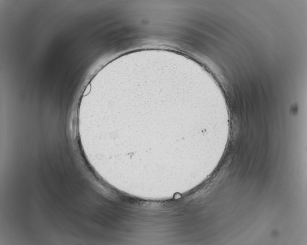 X0000116651371201001251148
