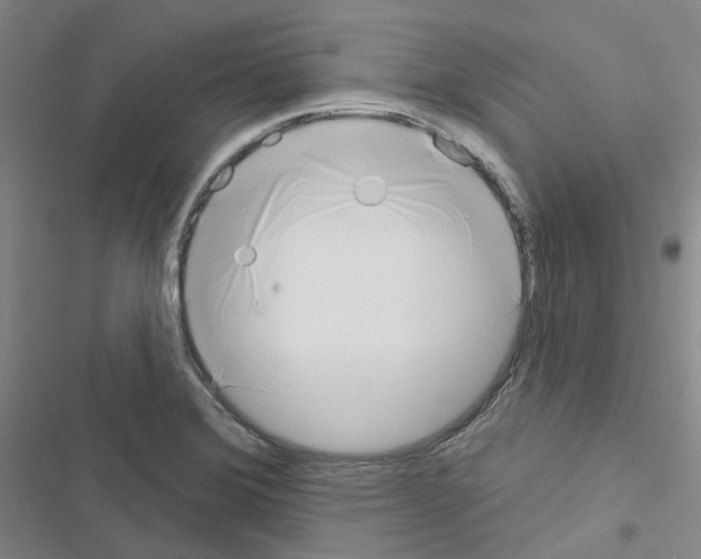 X0000116651372201001251148