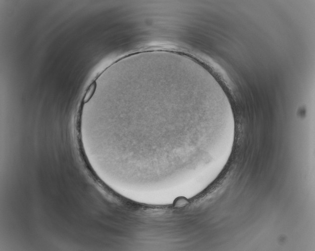 X0000116651373201001251148