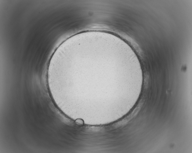 X0000116651374201001251148