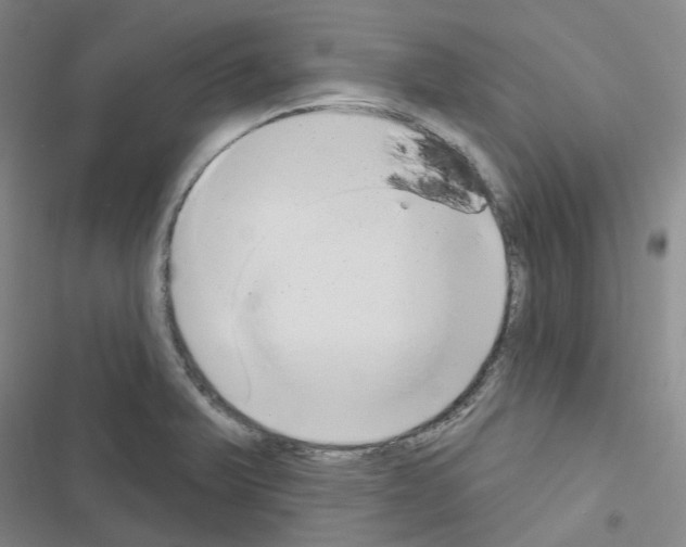 X0000116651375201001251148