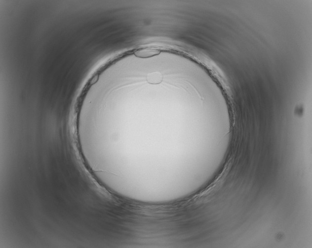 X0000116651376201001251148