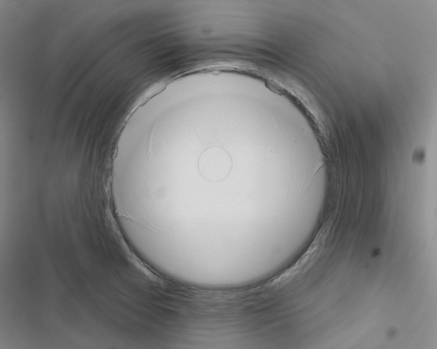 X0000116651377201001251148