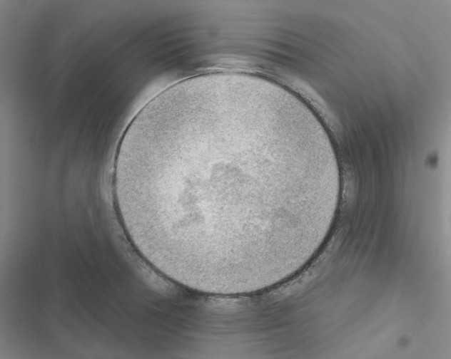 X0000116651378201001251148