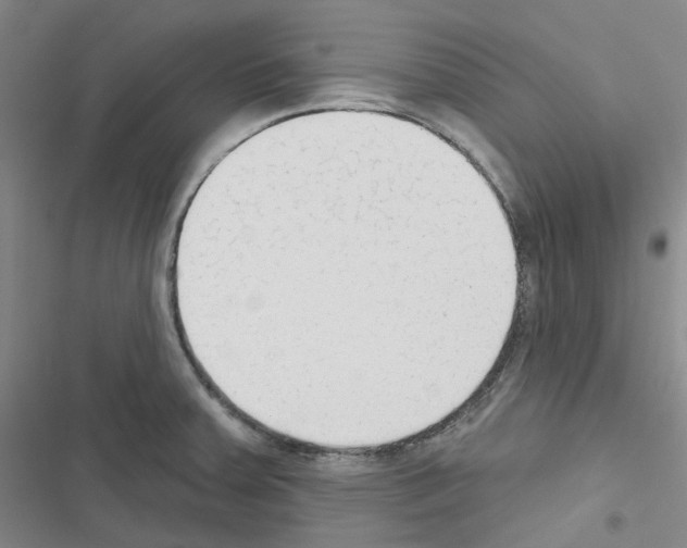 X0000116651379201001251148