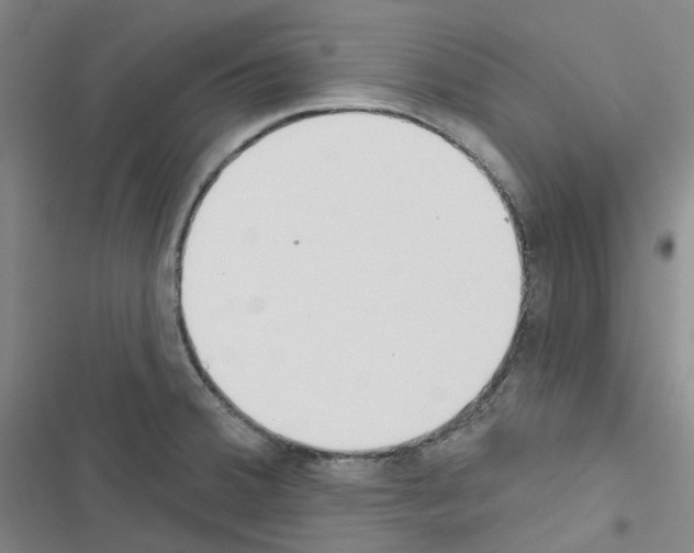 X0000116651380201001251148