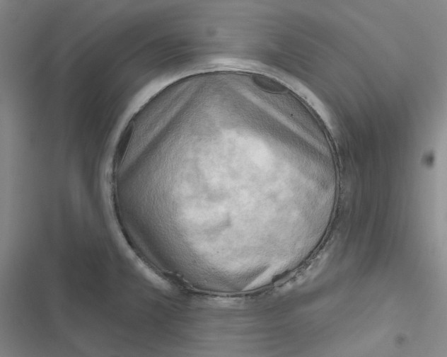 X0000116651381201001251148