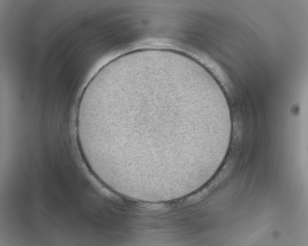 X0000116651382201001251148