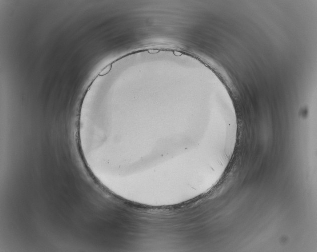 X0000116651383201001251148