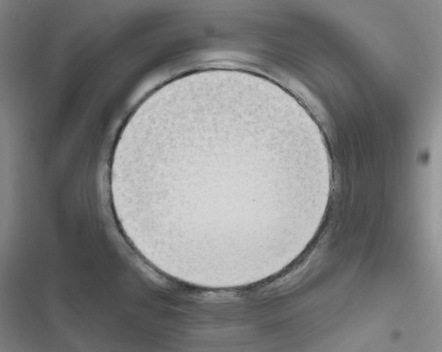 X0000116651384201001251148
