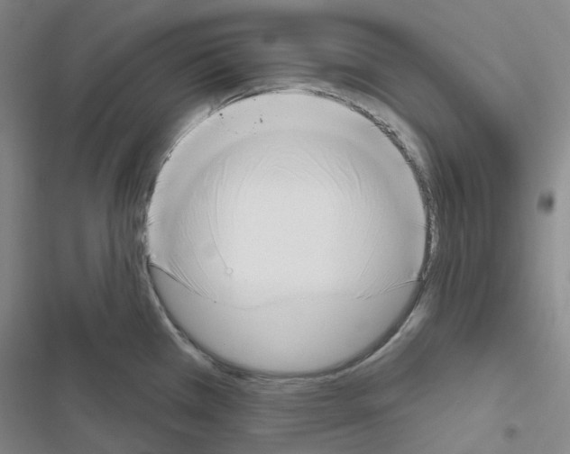 X0000116651385201001251148