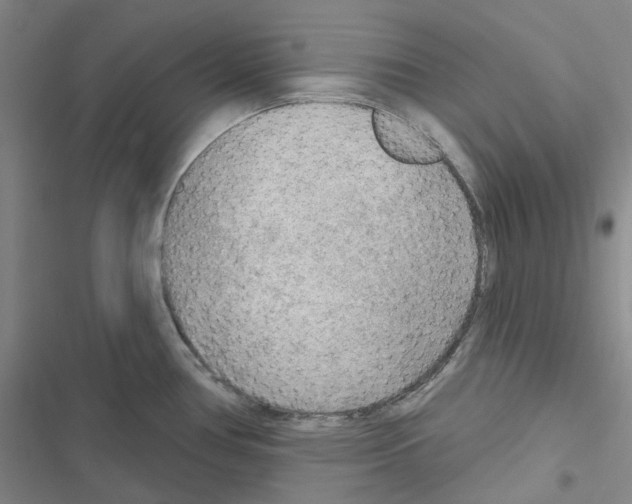 X0000116651386201001251148