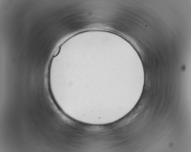 X0000116651387201001251148
