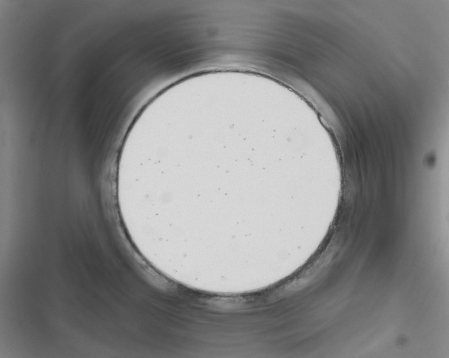 X0000116651388201001251148