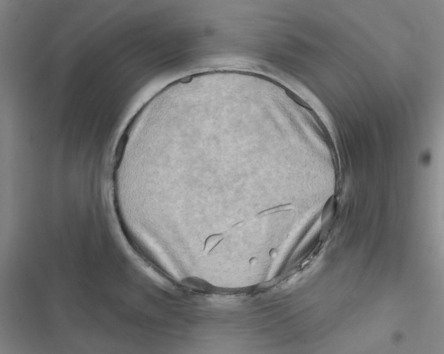 X0000116651389201001251148