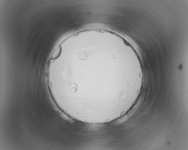 X0000116651390201001251148